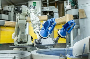 專訪法國賽峰公司高層 貴陽工廠硅鐵粒產品質量卓越，引領行業標準